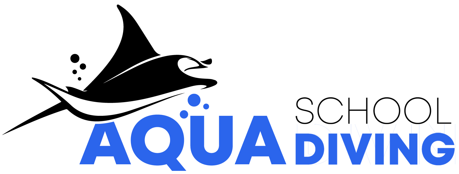 aqua diving school