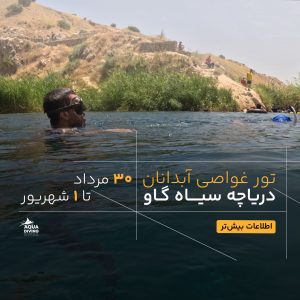 تور آبدانان