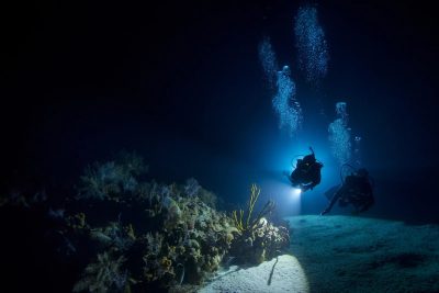 night diving