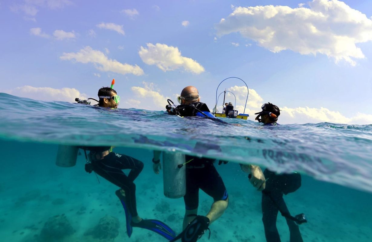 غواصی در خلیج فارس