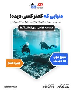 دوره غواصی قشم دی 1404